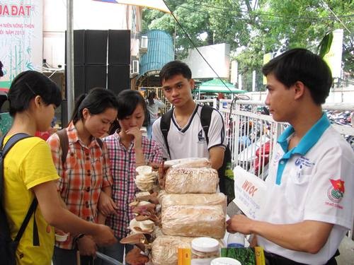  Memuji pemuda pedesaan yang pandai melakukan aktivitas ekonomi - ảnh 1