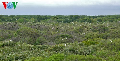 Memperkenalkan tentang zona cadangan biosfir di Vietnam - ảnh 1