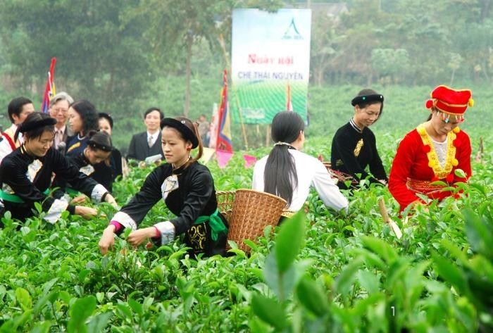 Festival Teh Dai Tu, provinsi Thai Nguyen berlangsung secara bergelora - ảnh 1