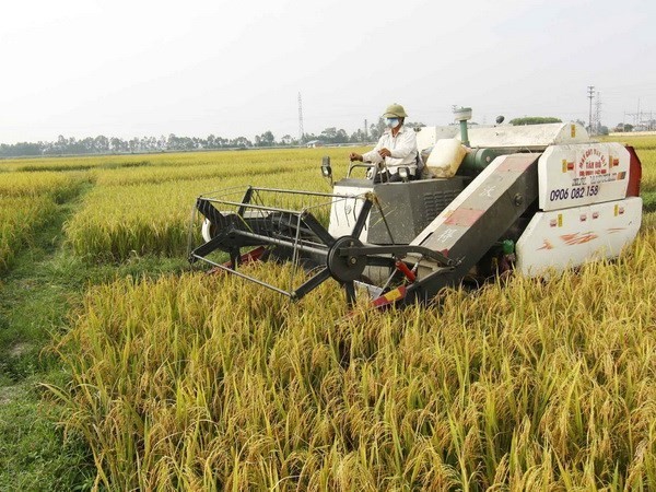 Kota Ho Chi Minh mengirim petani belajar di luar negeri untuk menarik pengalaman - ảnh 1