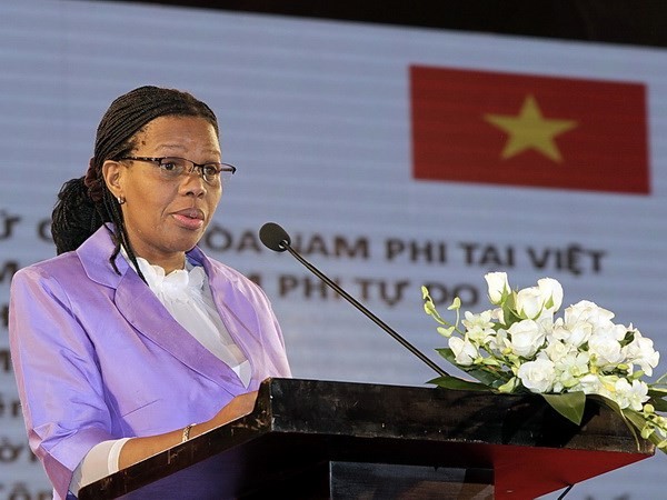 Vietnam menjadi salah satu mitra dagang penting di Asia bagi Afrika Selatan - ảnh 1