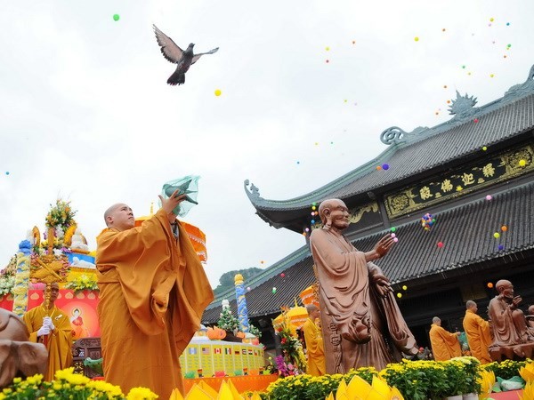 Program pertunjukan kebudayaan dan keseniaan Buddhis internasional dengan tema: “Inti teratai dalam hati Sang Buddha - ảnh 1