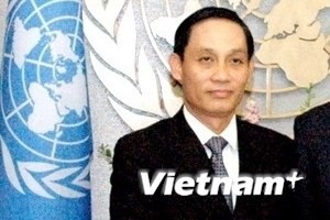 Duta Besar Vietnam di PBB memprotes Tiongkok - ảnh 1