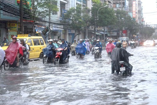 Jepang dan negara-negara di Sub-kawasan sungai Mekong  melakukan kerjasama dalam memperbaiki lingkungan hidup perkotaan - ảnh 1