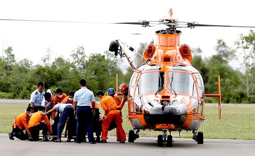 Banyak negara aktif membantu pencarian pesawat terbang QZ 8501 - ảnh 1