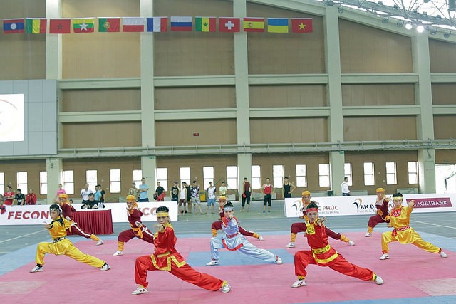 Kongres internasional pertama Silat tradisional Vietnam mencapai sukses baik - ảnh 1