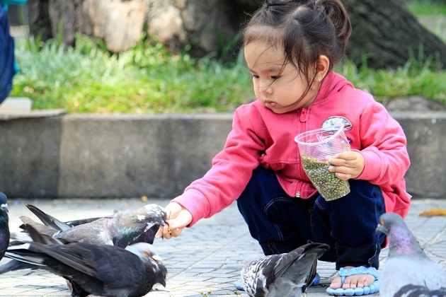 Kota Ho Chi Minh akan menjadi kota akrab anak-anak yang pertama - ảnh 1