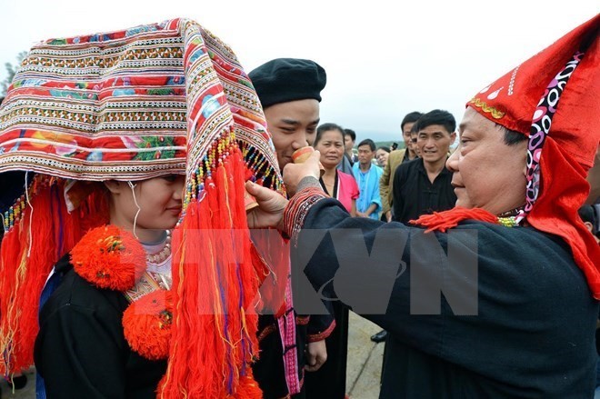 Program aksi nasional tentang kesetaraan gender tahap 2016-2020 - ảnh 1