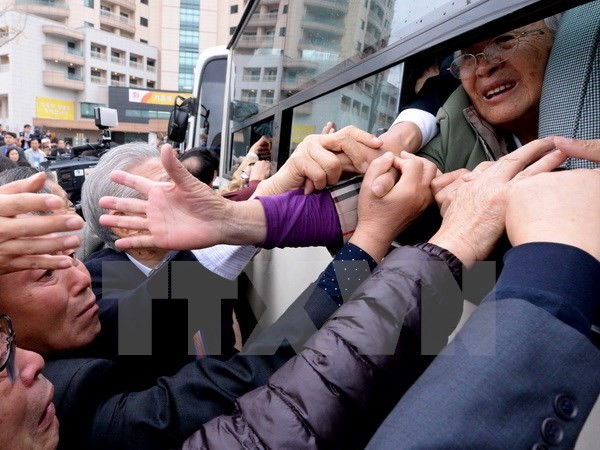 Gelombang reuni keluarga-keluarga yang terpisah dalam perang antara dua bagian negeri Korea berakhir - ảnh 1