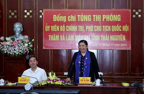 Wakil Ketua MN Vietnam, Tong Thi Phong melakukan kunjungan kerja di provinsi Thai Nguyen - ảnh 1