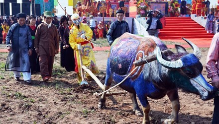 Wapres Vietnam, Nguyen Thi Doan menghadiri acara pembukaan pesta membajak sawah Doi Son, provinsi Ha Nam - ảnh 1