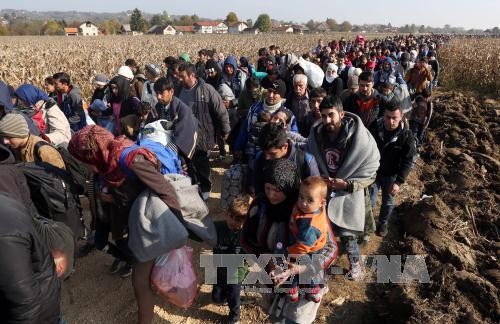 Banyak negara di dunia memperketat langkah-langkah pembatasan migran - ảnh 1