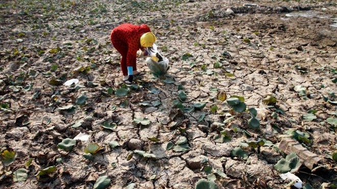 Kamboja meminta kepada Tiongkok supaya terus melepaskan air ke kawasan hilir sungai Mekong - ảnh 1