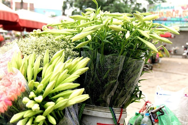 Keindahan bunga bakung paskah di jalan-jalan kota Hanoi - ảnh 2