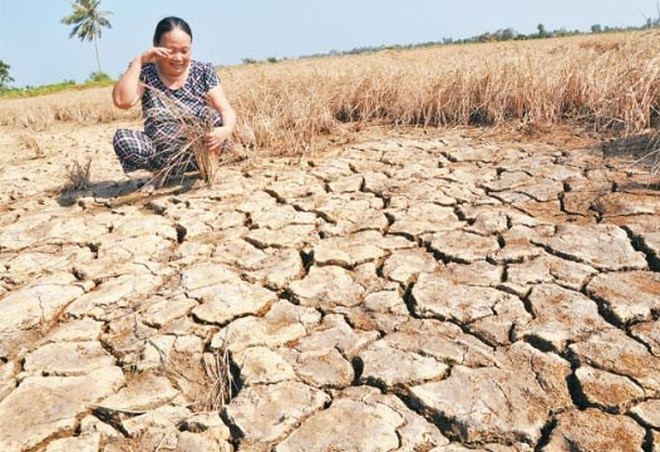 Jepang memberikan bantuan senilai 2,5 juta dolar AS kepada warga Vietnam di daerah bencana alam - ảnh 1