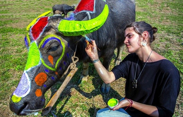 Keindahan karya-karya foto yang mendapat hadiah dalam sayembara foto wisata: “Vietnam dewasa ini” - ảnh 7