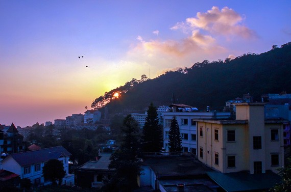 Keindahan kotamadya Tam Dao, provinsi Vinh Phuc - ảnh 3