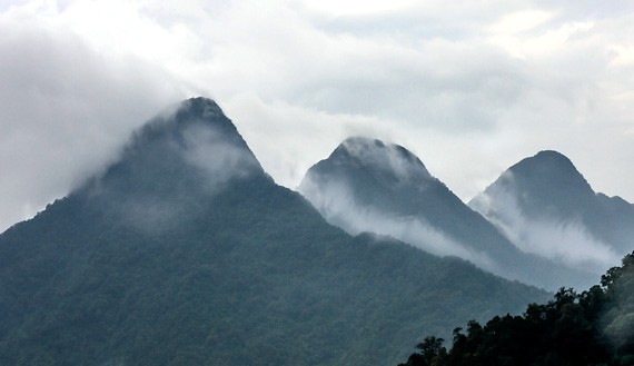 Keindahan kotamadya Tam Dao, provinsi Vinh Phuc - ảnh 5