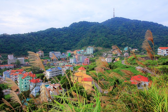 Keindahan kotamadya Tam Dao, provinsi Vinh Phuc - ảnh 7