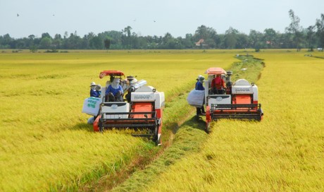 Daerah dataran rendah sungai Mekong mengimbau sumber modal investasi di bidang infrastruktur teknik - ảnh 1