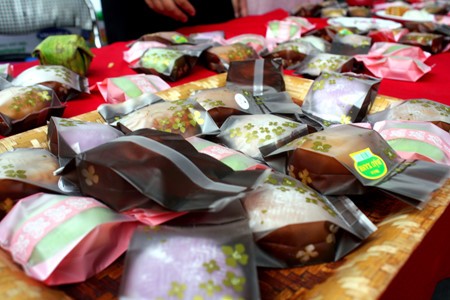 Pekan raya VOV tahun 2016 sehubungan dengan peringatan ultah ke-71 berdirinya VOV - ảnh 19