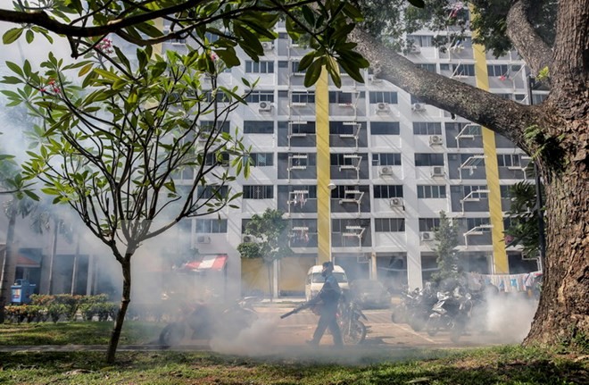 Tambah lagi kasus terinfeksi virus Zika di Singapura - ảnh 1