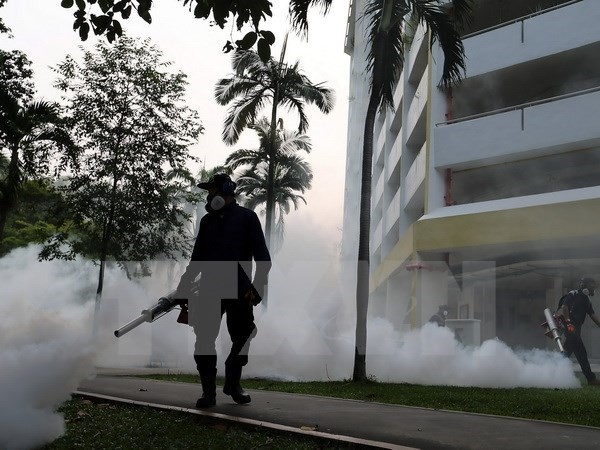 Virus Zika telah muncul di 73 negara dan teritori - ảnh 1