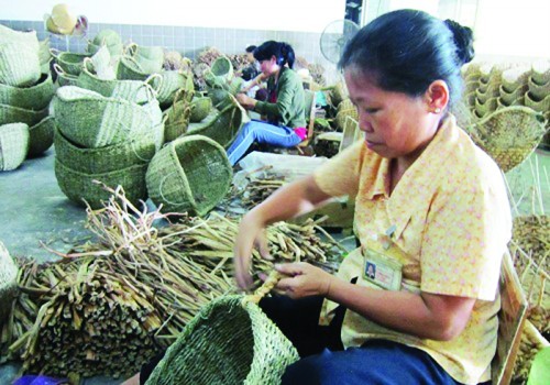 Memperhebat pekerjaan memikirkan kehidupan kaum miskin untuk mengentas dari kemiskinan secara berkesinambungan - ảnh 1