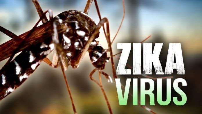 Ada lagi dua kasus terinfeksi virus Zika di kota Ho Chi Minh - ảnh 1