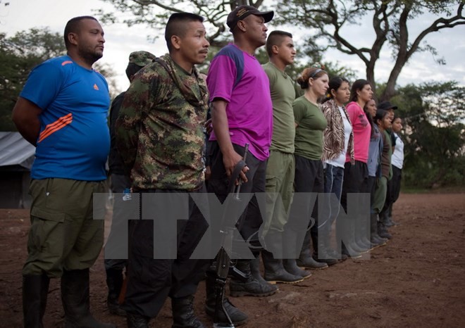 FARC membentuk partai politik - ảnh 1