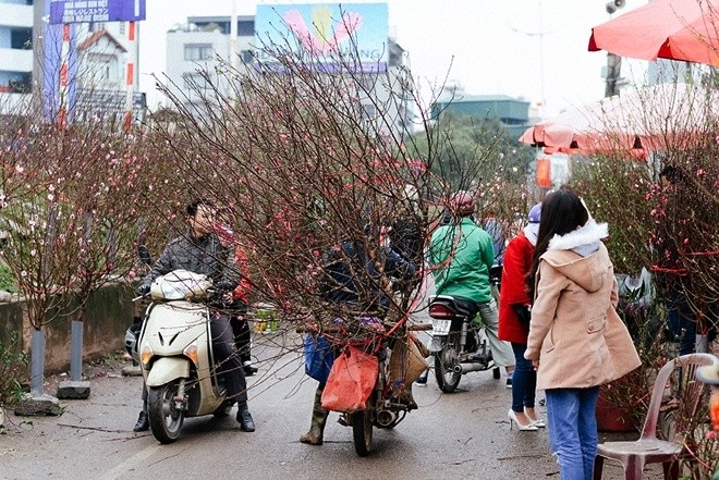 Enam pasar yang kental dengan suasana Hari Raya Tet  - ảnh 1