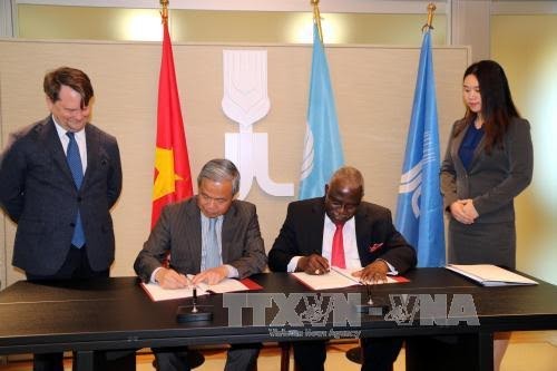 IFAD membantu Vietnam meningkatkan pendapatan warga di daerah pedesaan - ảnh 1