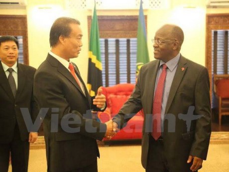  Tanzania menciptakan semua syarat yang kondusif bagi para investor Vietnam - ảnh 1