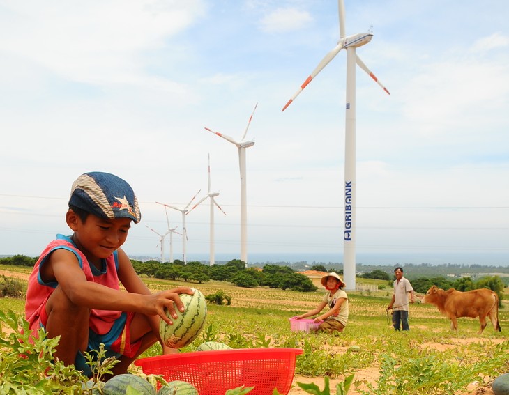 Menguasai teknologi energi bersih, melindungi lingkungan untuk berkembang secara berkesinambungan - ảnh 2