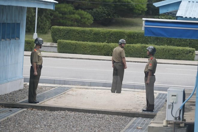  RDRK terus mengecam latihan-latihan perang gabungan AS-Republik Korea - ảnh 1