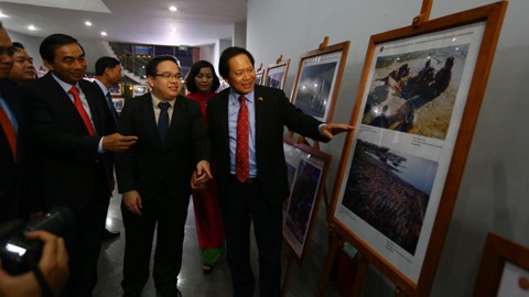  Pameran foto dan film reportase - dokumenter dalam komunitas ASEAN di Vietnam - ảnh 1