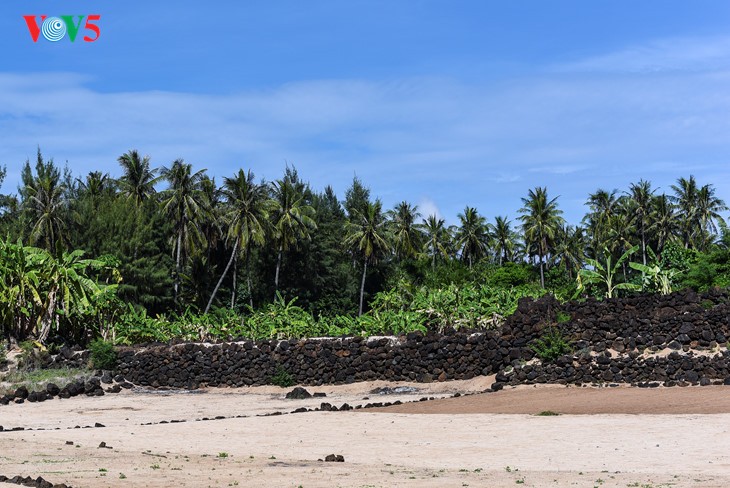 “Museum” geologi gunung berapi purba yang jarang ada di dunia di Pulau Ly Son - ảnh 7