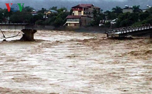  Hujan dan banjir di beberapa daerah di Vietnam menimbulkan kerugian besar tentang manusia dan harta - ảnh 1