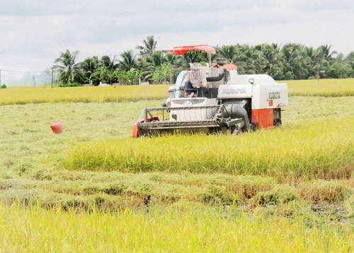 Melakukan restrukturisasi pertanian untuk beradaptasi dengan perubahan iklim - ảnh 2