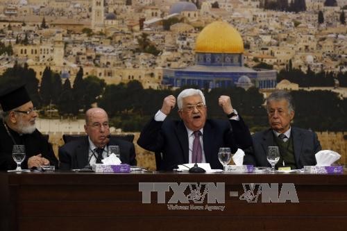  Palestina terus mengutuk pengakuan AS terhadap Yerusalem sebagai Ibukota Israel - ảnh 1