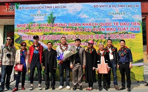 Lebih dari 4,2 juta wisman mengunjungi Vietnam pada triwulan I tahun 2018 - ảnh 1