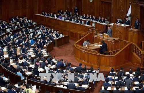 Majelis Rendah Jepang meratifikasi CP TPP - ảnh 1