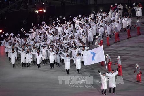 Republik Korea dan RDRK akan melakukan pawai di bawah bendera bersama di Kejuaraan Judo Asia Timur - ảnh 1