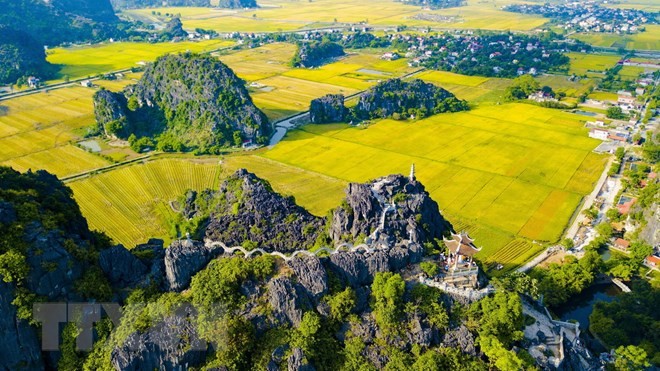 Banyak aktivitas yang bergelora pada Pekan Pariwisata Ninh  Binh “Warna kuning Tam Coc – Trang An”  - ảnh 1