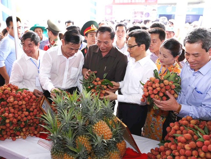 Pembukaan Festival Leci Thanh Ha tahun 2018 - ảnh 1