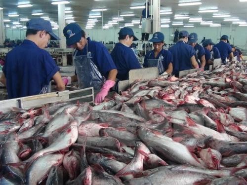 Menggelarkan UU mengenai Perikanan dan mengatasi “kartu kuning” IUU di provinsi-provinsi pesisir daerah Nam Bo Tengah - ảnh 1