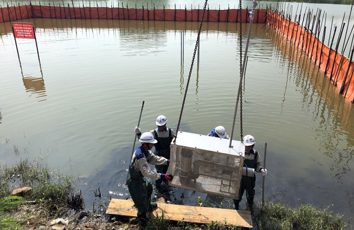 Menerapkan teknologi Jepang dalam menangani masalah lingkungan di Provinsi Quang Ninh - ảnh 2