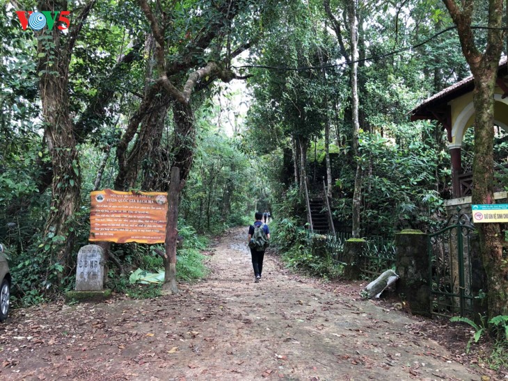 Puncak gunung Bach Ma seindah surga pada musim gugur - ảnh 1