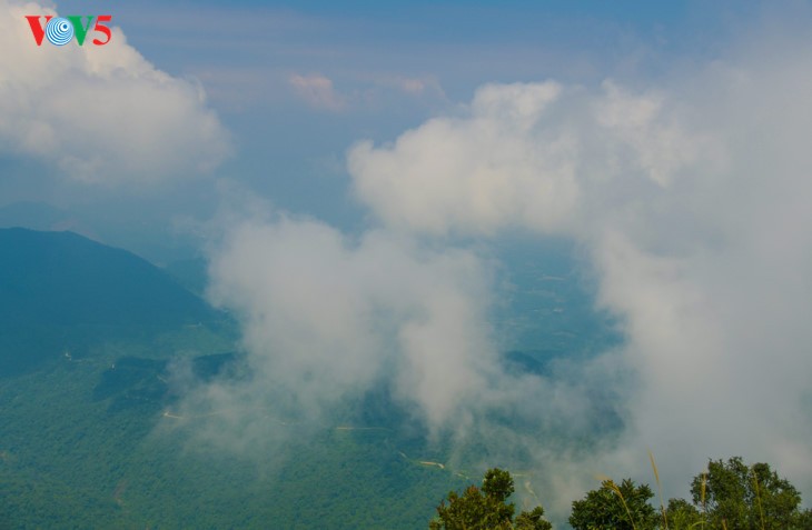 Puncak gunung Bach Ma seindah surga pada musim gugur - ảnh 6