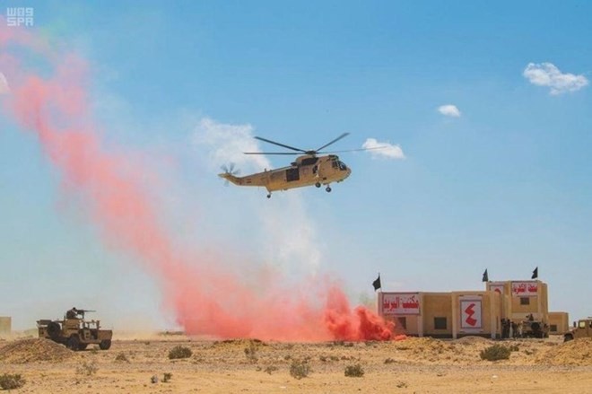 Latihan perang multi-nasional “Perisai Arab 1” di Mesir - ảnh 1